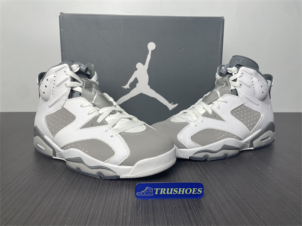 Jordan 6 Cool Grey CT8529-100