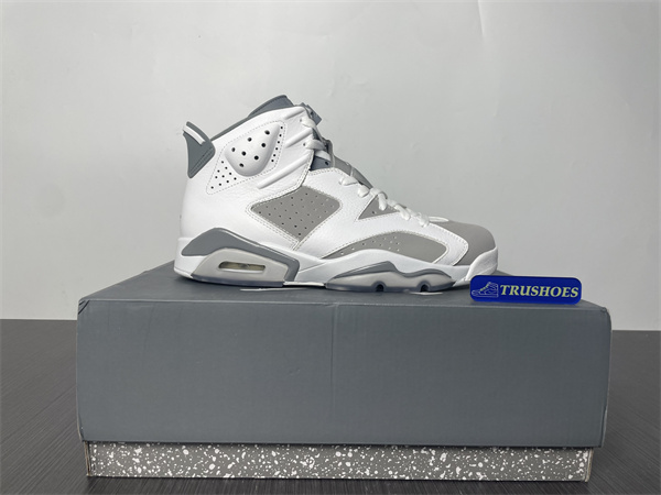 Jordan 6 Cool Grey CT8529-100