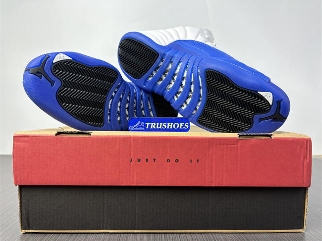 Air Jordan 12 CT8013-116-